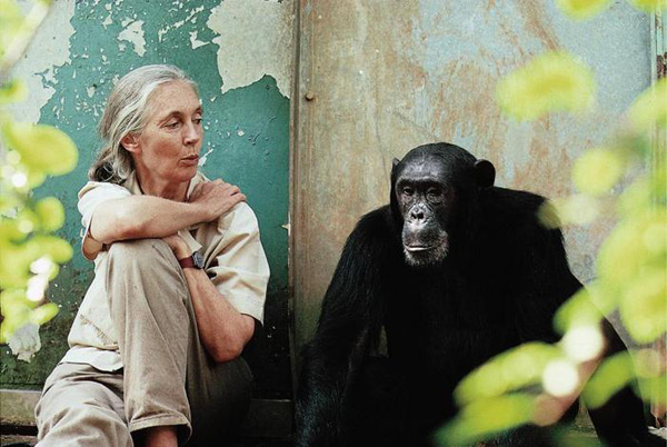 Jane Goodall