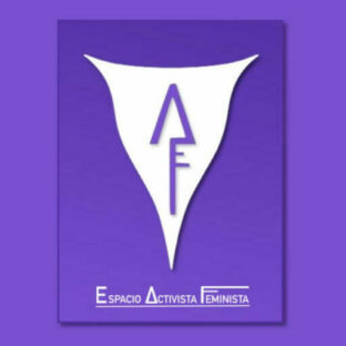 ESPACIO ACTIVISTA FEMINISTA